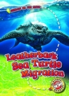 Image for Leatherback Sea Turtle Migration