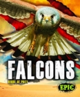 Image for Falcons