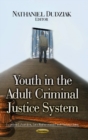 Image for Youth in the adult criminal justice system