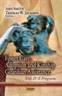 Image for Foster care, adoption &amp; kinship guardian assistance  : Title IV-E Programs