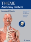 Image for THIEME Anatomy Posters Bones and Muscles