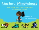 Image for Master of mindfulness  : how to be your own superhero in times of stress