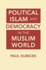 Image for Political Islam and Democracy in the Muslim World