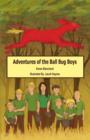 Image for Adventures of the Ball Bug Boys