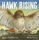 Image for Hawk Rising