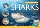 Image for 3-D Explorer: Sharks