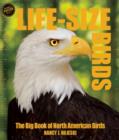 Image for Life-Size Birds : The Big Book of North American Birds