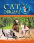 Image for Cat Origami