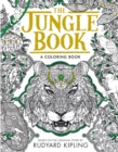 Image for The Jungle Book: A Coloring Book