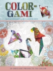 Image for Color-Gami (mass market)