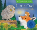 Image for Little Owl and the Noisy Night