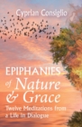 Image for Epiphanies of Nature and Grace