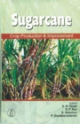 Image for Sugarcane Crop Production Improment