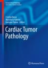 Image for Cardiac Tumor Pathology