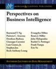 Image for Perspectives on Business Intelligence