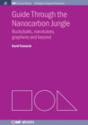Image for Guide through the Nanocarbon Jungle