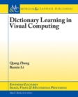 Image for Dictionary Learning in Visual Computing