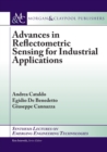 Image for Advances in Reflectometric Sensing for Industrial Applications