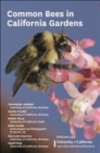 Image for Common Bees in California Gardens
