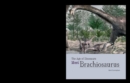 Image for Meet Brachiosaurus