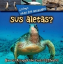 Image for Como usan los animales sus aletas?: How Do Animals Use Their Flippers?