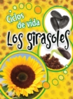 Image for Ciclos de vida los girasoles: Life Cycles: Sunflowers