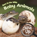 Image for Born in the Wild: Baby Animals