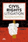 Image for Civil Rights Litigation