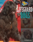 Image for Lifeguard Dogs