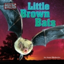 Image for Little Brown Bats