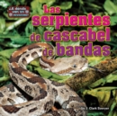 Image for Las serpientes de cascabel de bandas (rattlesnakes)