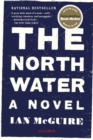 Image for The North water: a novel