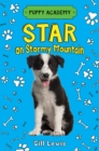 Image for Star on Stormy Mountain