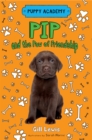 Image for Pip and the paw of friendship