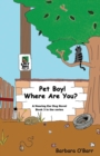 Image for Pet Boy! Where Are You?
