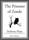 Image for The Prisoner of Zenza