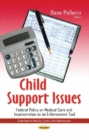 Image for Child Support Issues : Federal Policy on Medical Care &amp; Incarceration as an Enforcement Tool
