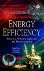 Image for Energy efficiency  : what it is, why it is important, and how to assess it