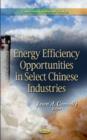 Image for Energy Efficiency Opportunities in Select Chinese Industries