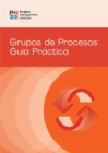 Image for Process Groups (Spanish Edition) : A Practice Guide