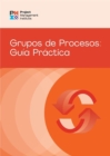 Image for Process Groups: A Practice Guide (SPANISH)