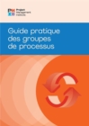 Image for Process Groups: A Practice Guide (FRENCH)