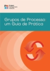 Image for Process Groups (Brazilian Portuguese Edition) : A Practice Guide