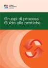 Image for Process Groups: A Practice Guide (ITALIAN)