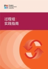 Image for Process Groups (Simplified Chinese Edition) : A Practice Guide