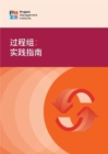 Image for Process Groups: A Practice Guide (SIMPLIFIED CHINESE)