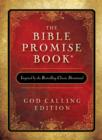 Image for The Bible promise book.
