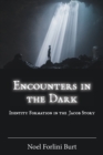 Image for Encounters in the Dark : Identity Formation in the Jacob Story