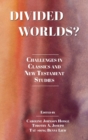 Image for Divided Worlds? : Challenges in Classics and New Testament Studies