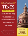 Image for TExES Core Subjects EC-6 291 Test Prep : TExES 291 Study Guide and Practice Test Questions [2nd Edition]